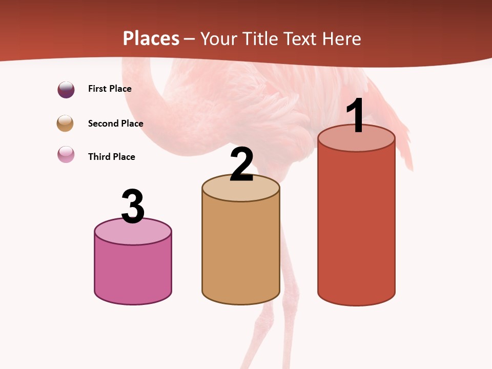 Animal Flamingo Subtropics PowerPoint Template