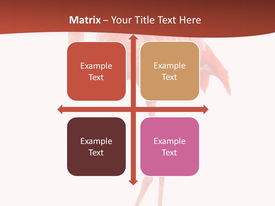 Animal Flamingo Subtropics PowerPoint Template