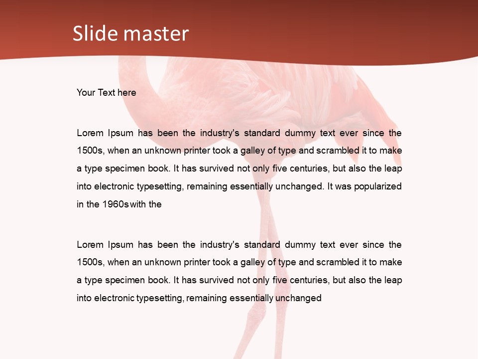 Animal Flamingo Subtropics PowerPoint Template