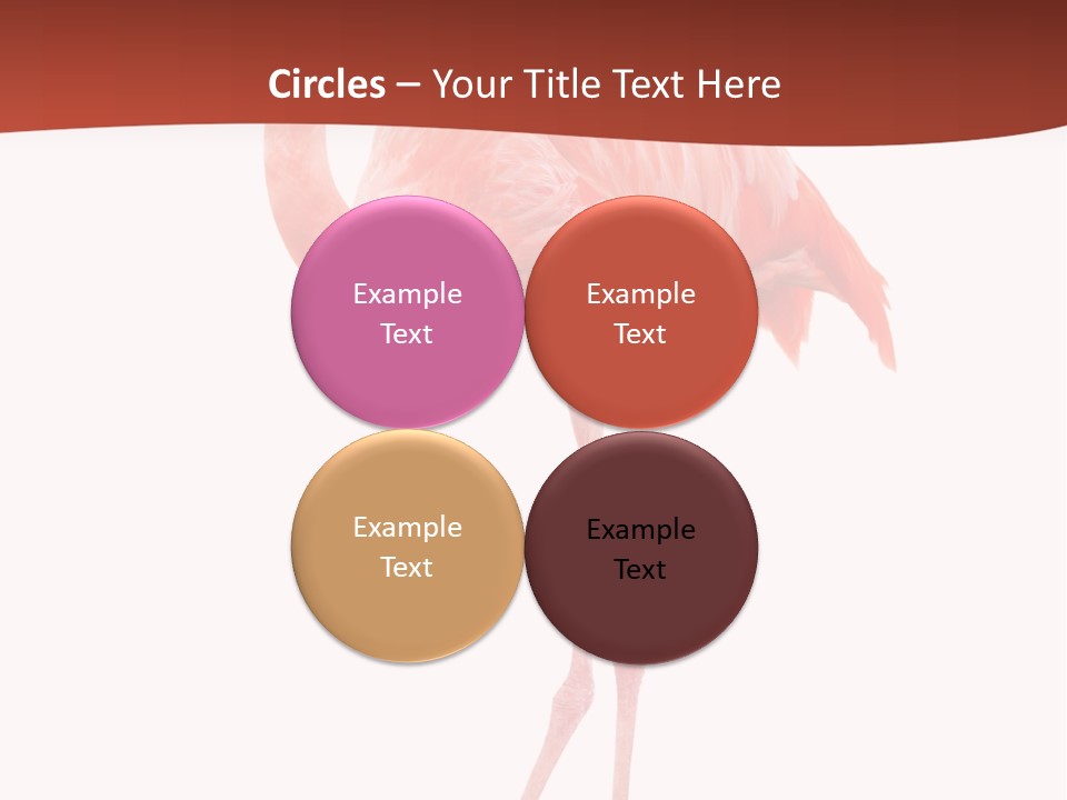 Animal Flamingo Subtropics PowerPoint Template