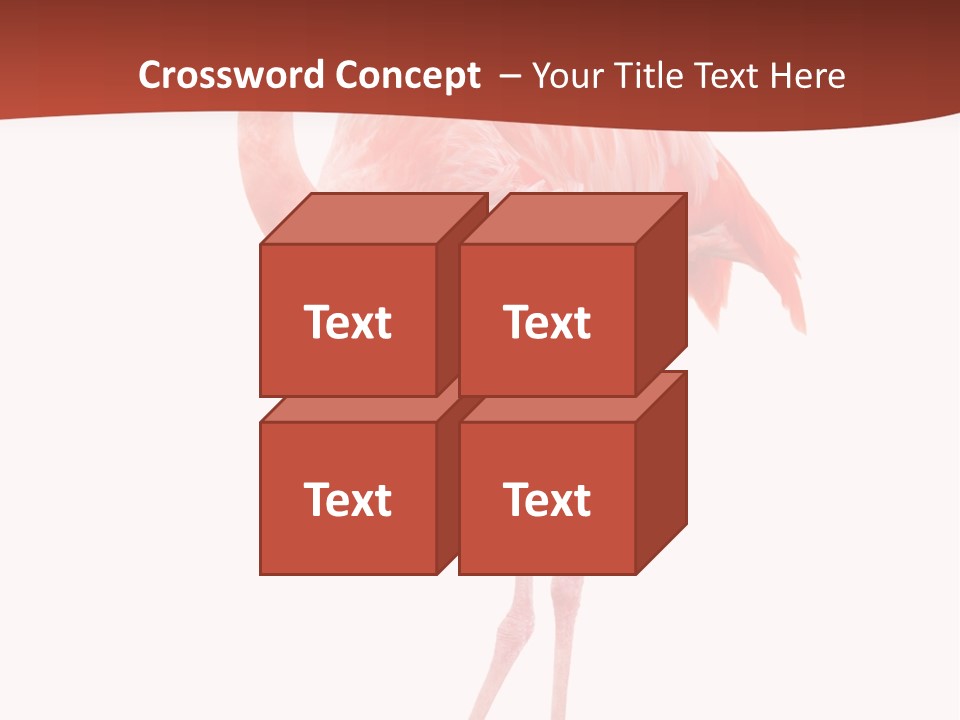 Animal Flamingo Subtropics PowerPoint Template