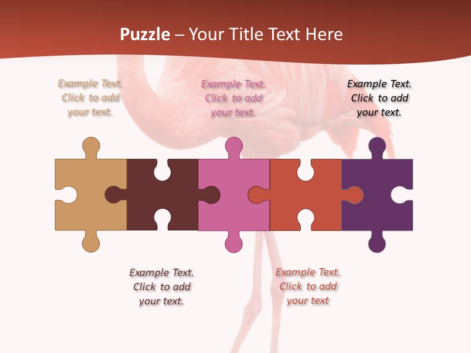 Animal Flamingo Subtropics PowerPoint Template