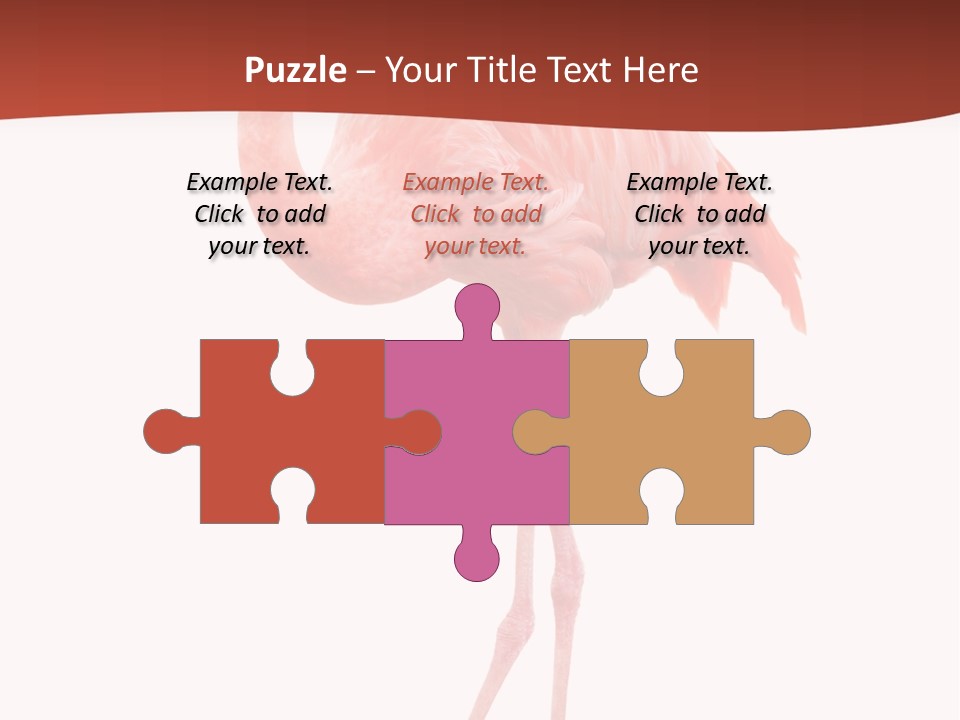 Animal Flamingo Subtropics PowerPoint Template