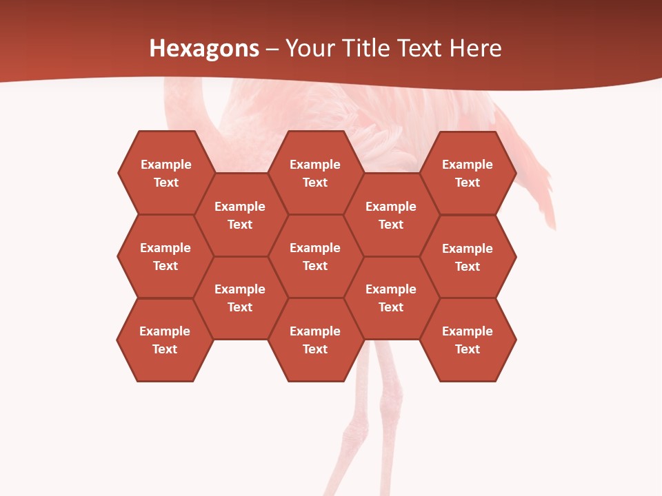 Animal Flamingo Subtropics PowerPoint Template