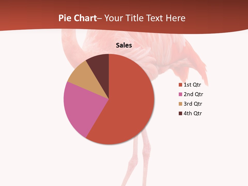 Animal Flamingo Subtropics PowerPoint Template