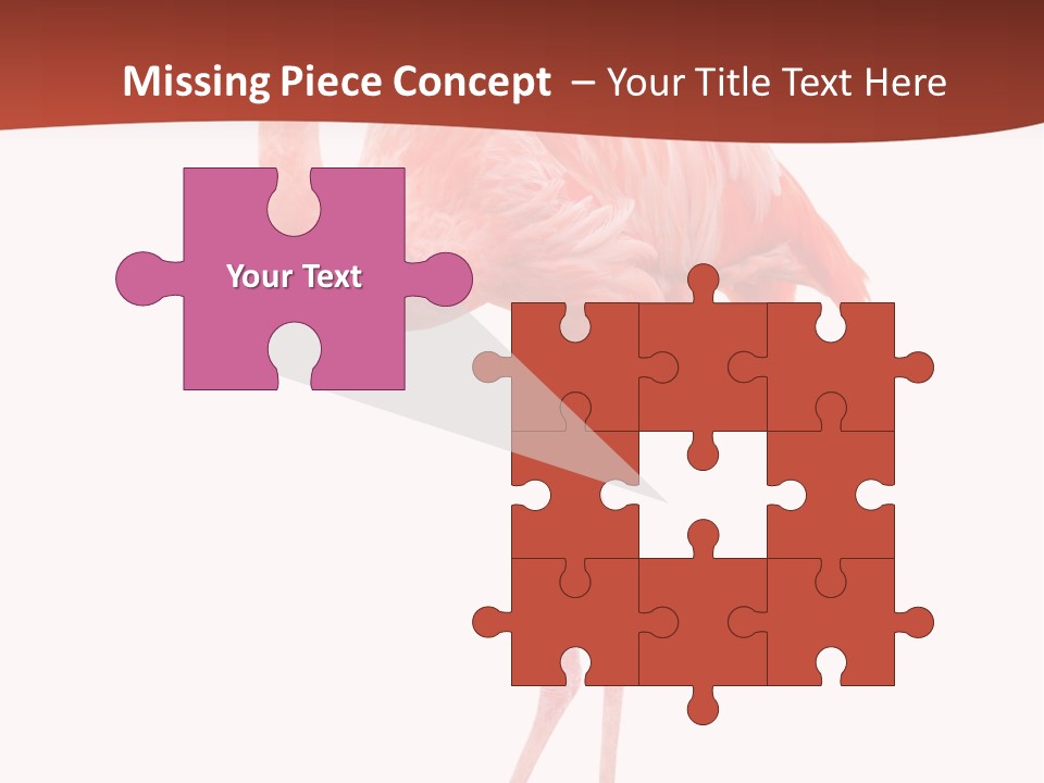 Animal Flamingo Subtropics PowerPoint Template