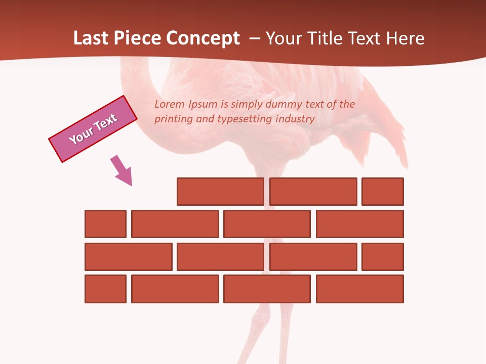 Animal Flamingo Subtropics PowerPoint Template