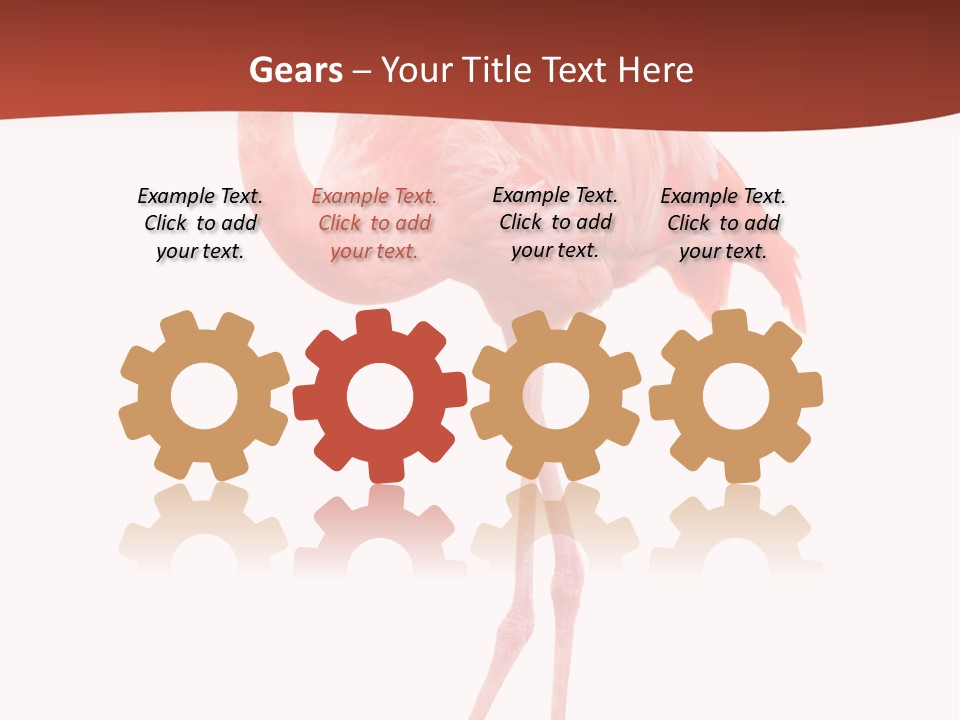 Animal Flamingo Subtropics PowerPoint Template