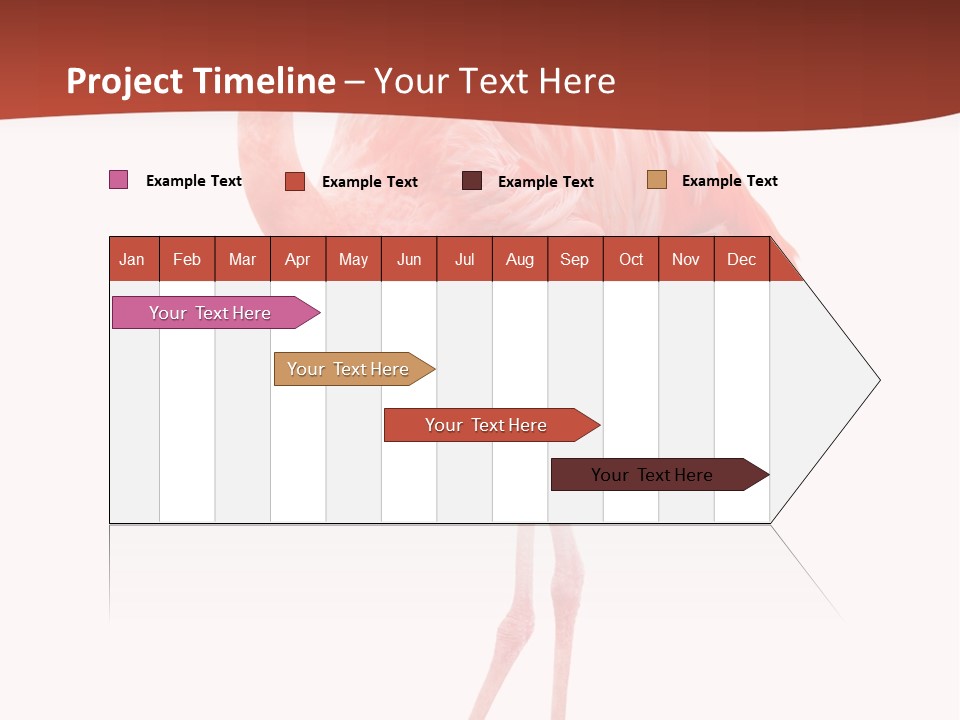 Animal Flamingo Subtropics PowerPoint Template