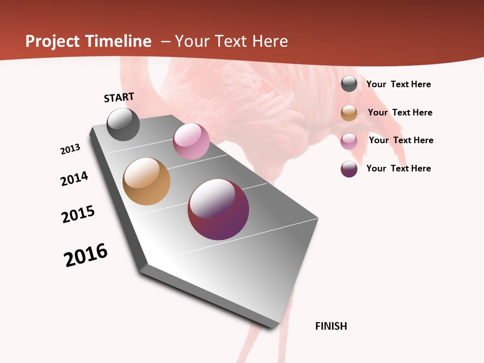 Animal Flamingo Subtropics PowerPoint Template