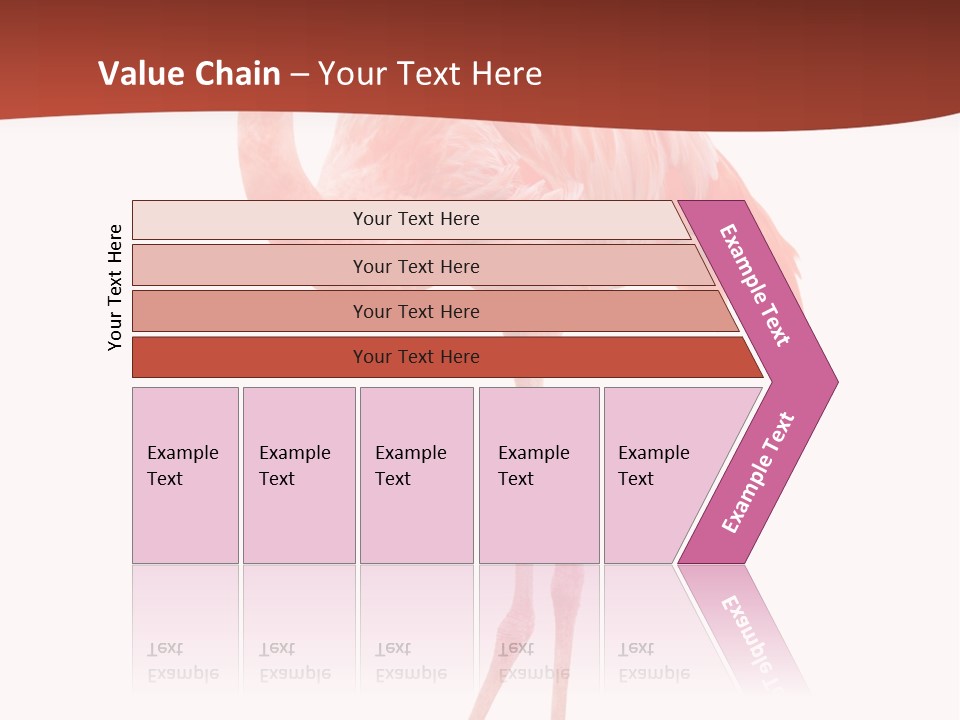 Animal Flamingo Subtropics PowerPoint Template