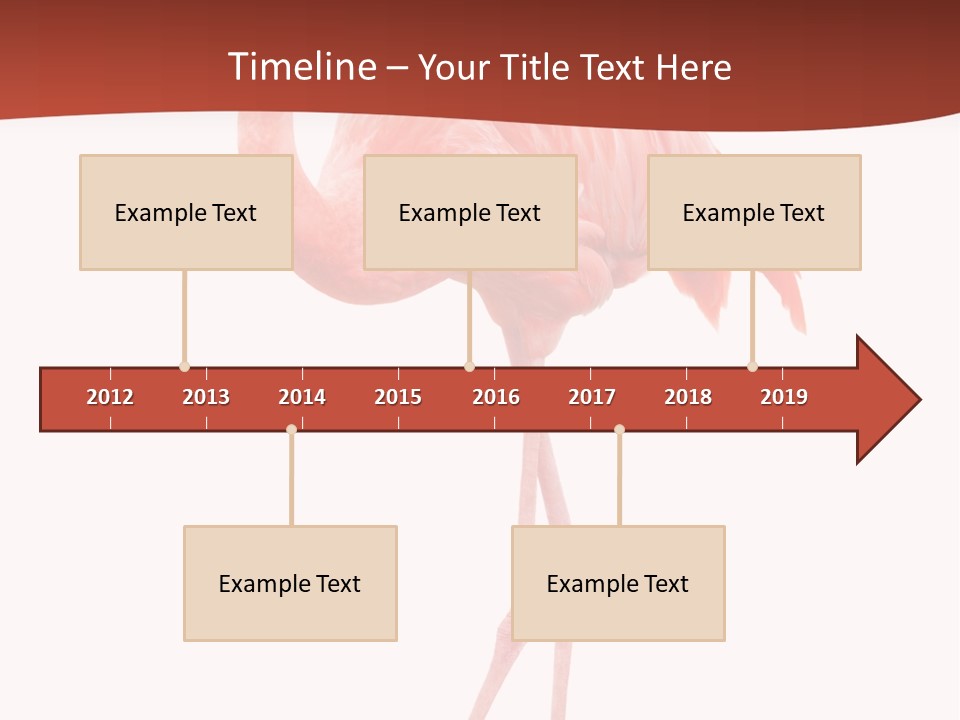 Animal Flamingo Subtropics PowerPoint Template