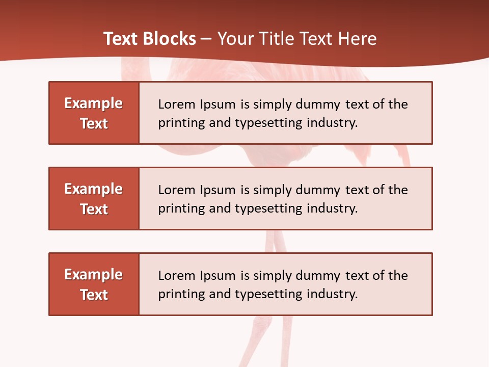 Animal Flamingo Subtropics PowerPoint Template