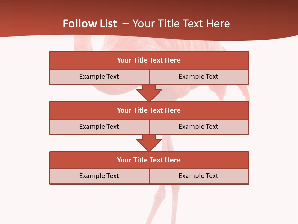 Animal Flamingo Subtropics PowerPoint Template