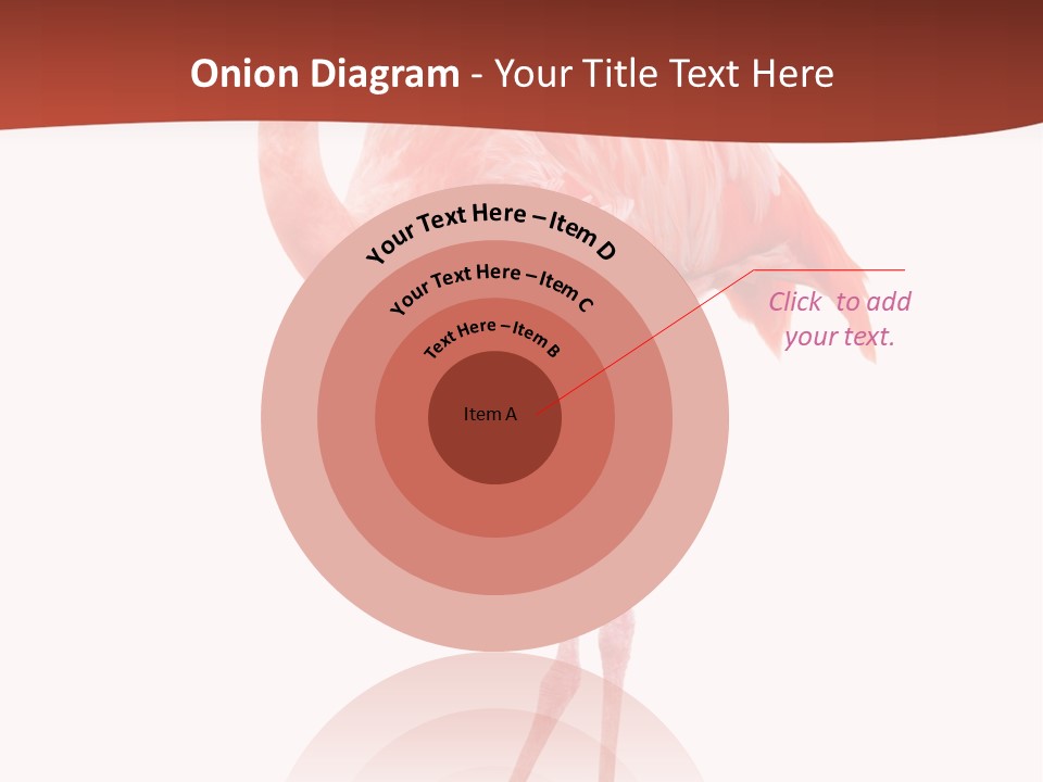 Animal Flamingo Subtropics PowerPoint Template