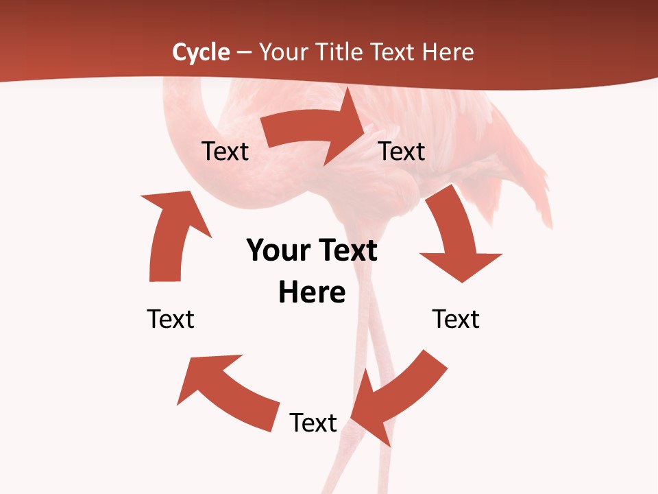 Animal Flamingo Subtropics PowerPoint Template