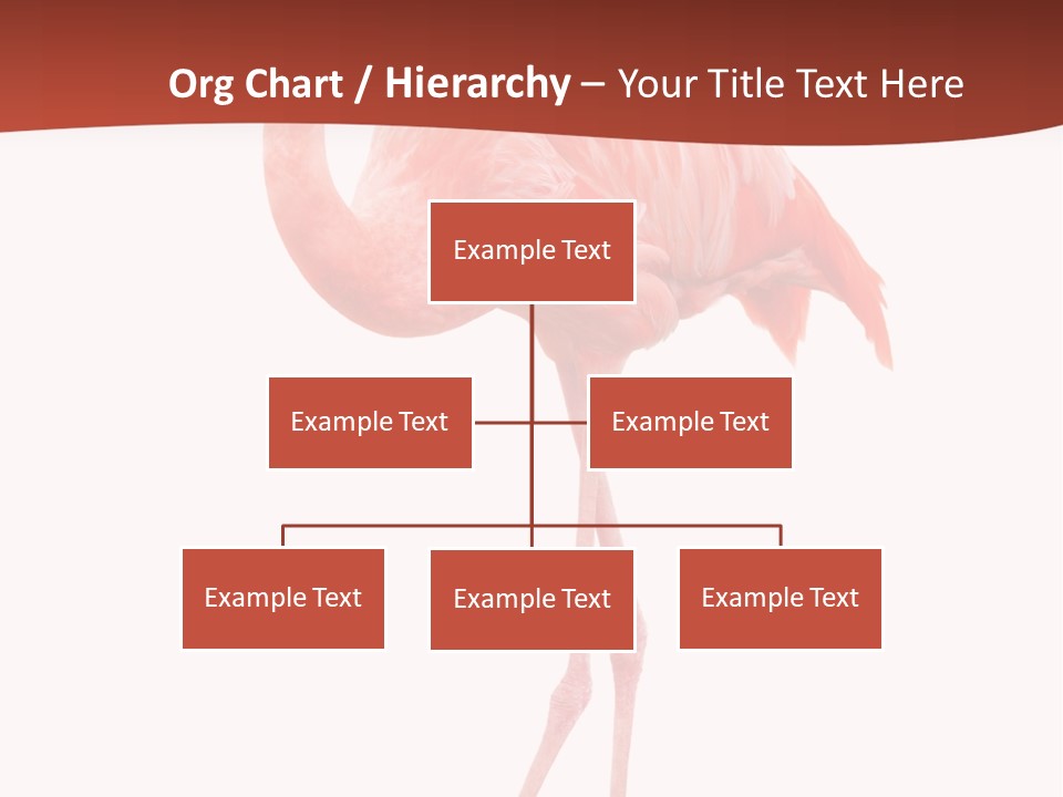 Animal Flamingo Subtropics PowerPoint Template