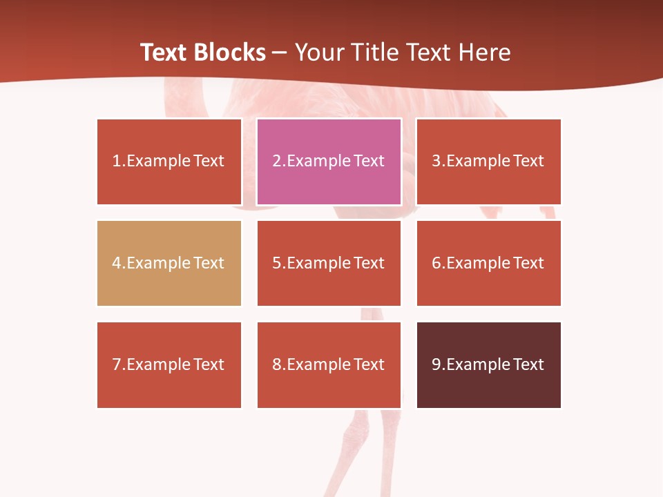 Animal Flamingo Subtropics PowerPoint Template