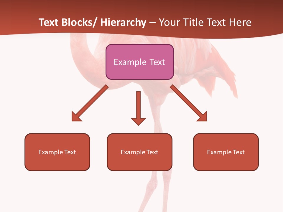 Animal Flamingo Subtropics PowerPoint Template