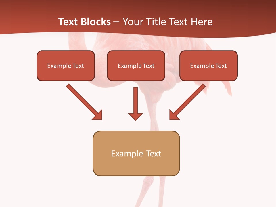 Animal Flamingo Subtropics PowerPoint Template