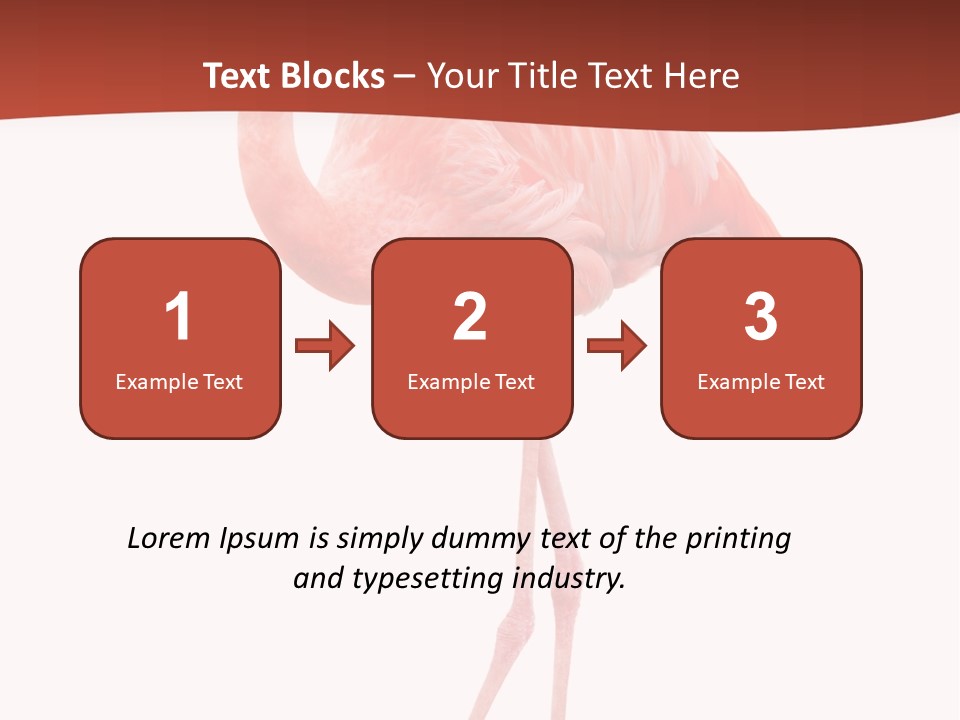 Animal Flamingo Subtropics PowerPoint Template