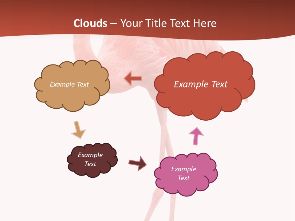 Animal Flamingo Subtropics PowerPoint Template