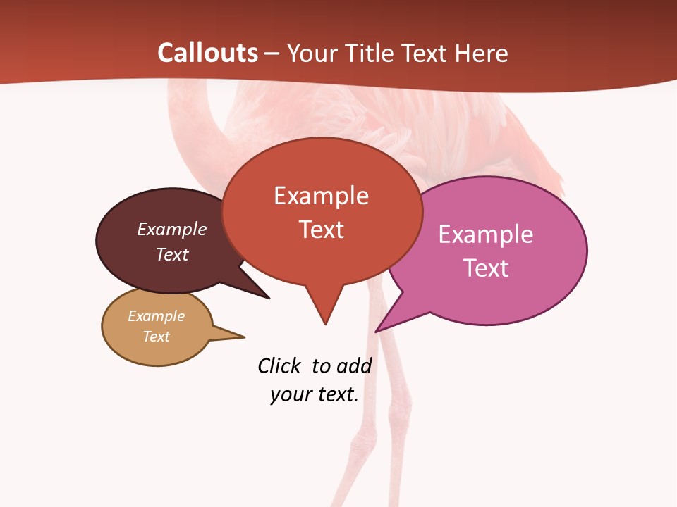 Animal Flamingo Subtropics PowerPoint Template