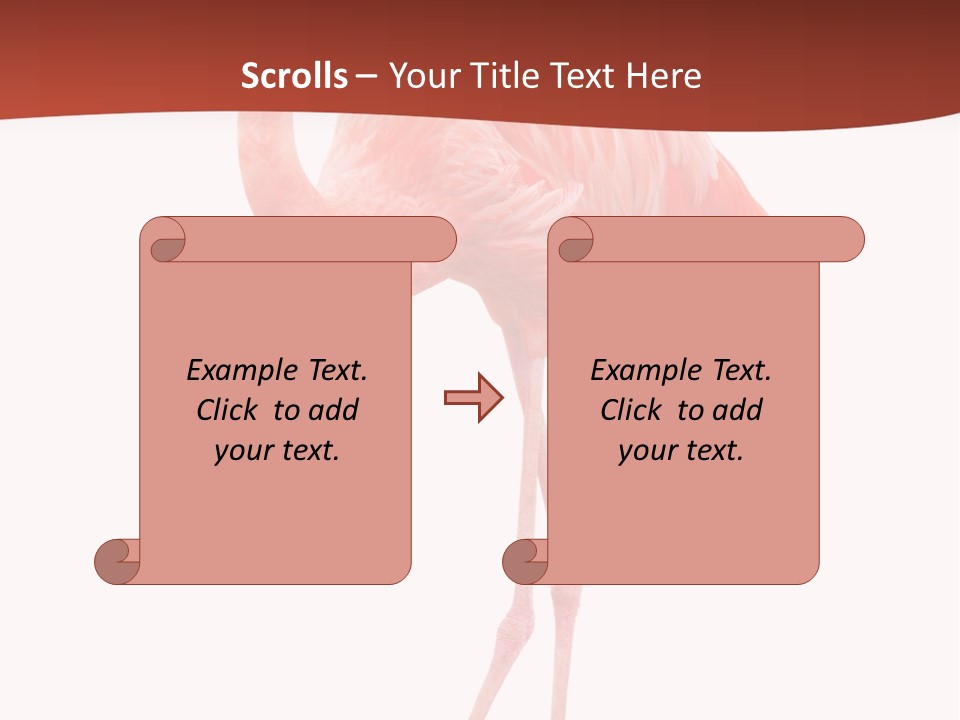 Animal Flamingo Subtropics PowerPoint Template