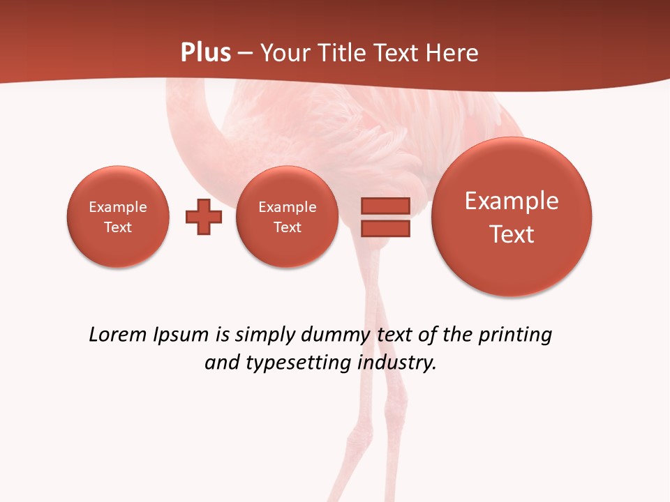 Animal Flamingo Subtropics PowerPoint Template