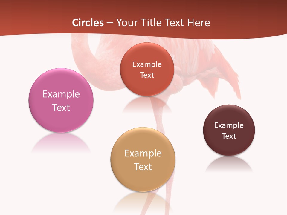 Animal Flamingo Subtropics PowerPoint Template