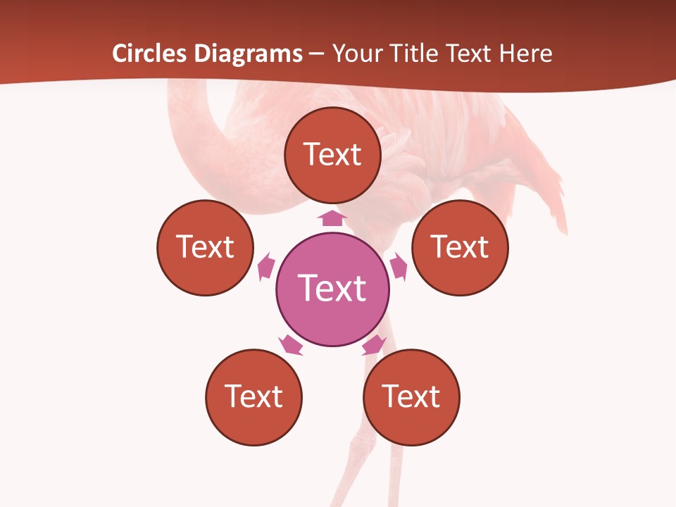 Animal Flamingo Subtropics PowerPoint Template