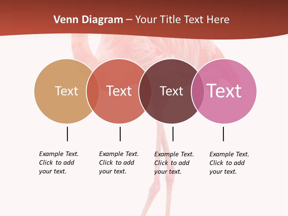 Animal Flamingo Subtropics PowerPoint Template