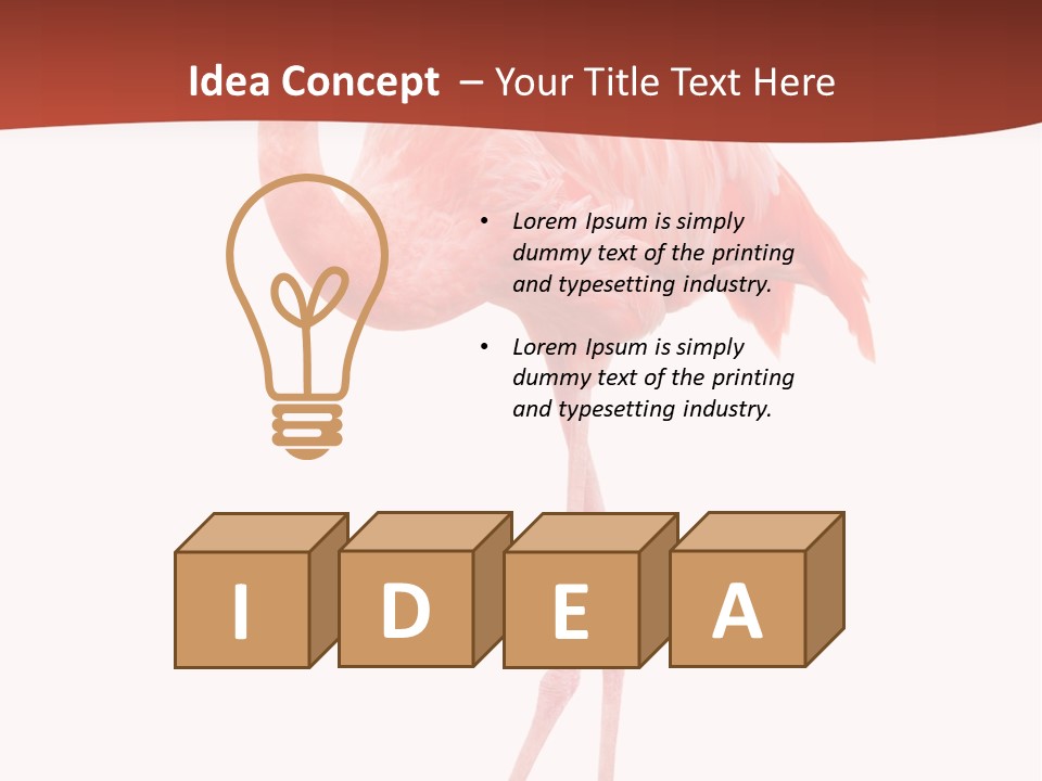 Animal Flamingo Subtropics PowerPoint Template