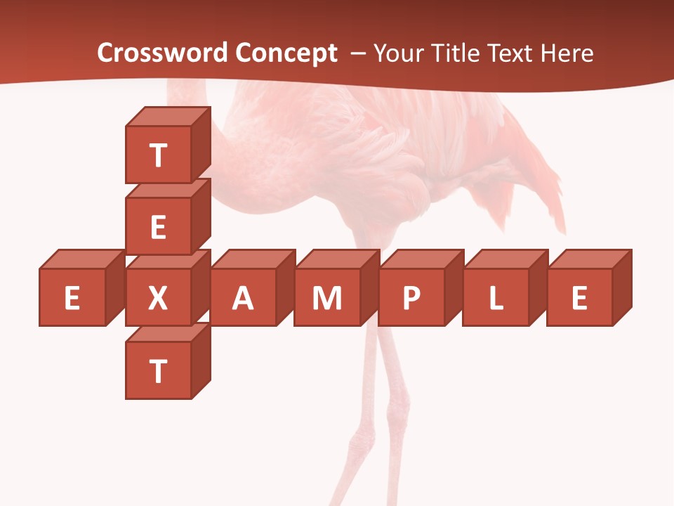 Animal Flamingo Subtropics PowerPoint Template