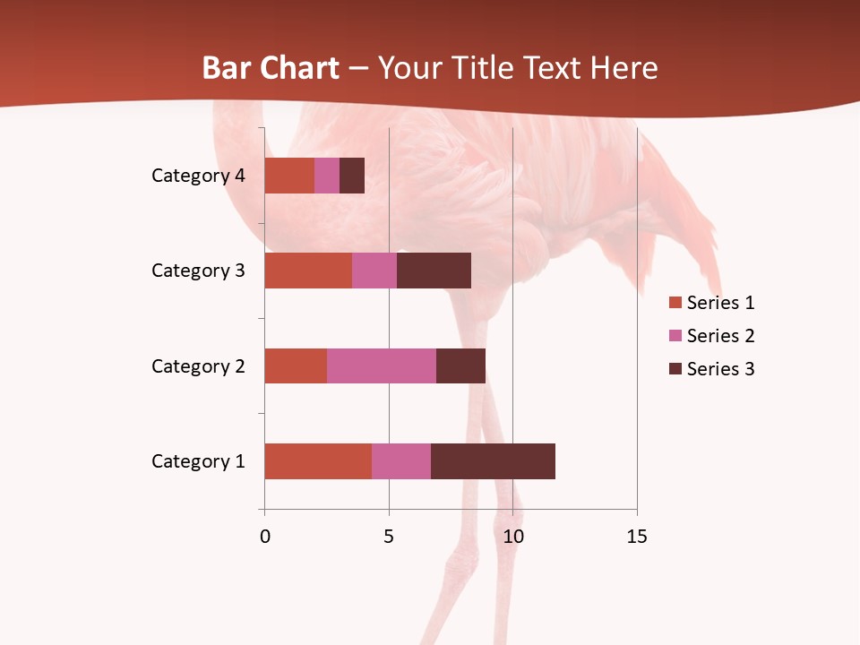 Animal Flamingo Subtropics PowerPoint Template