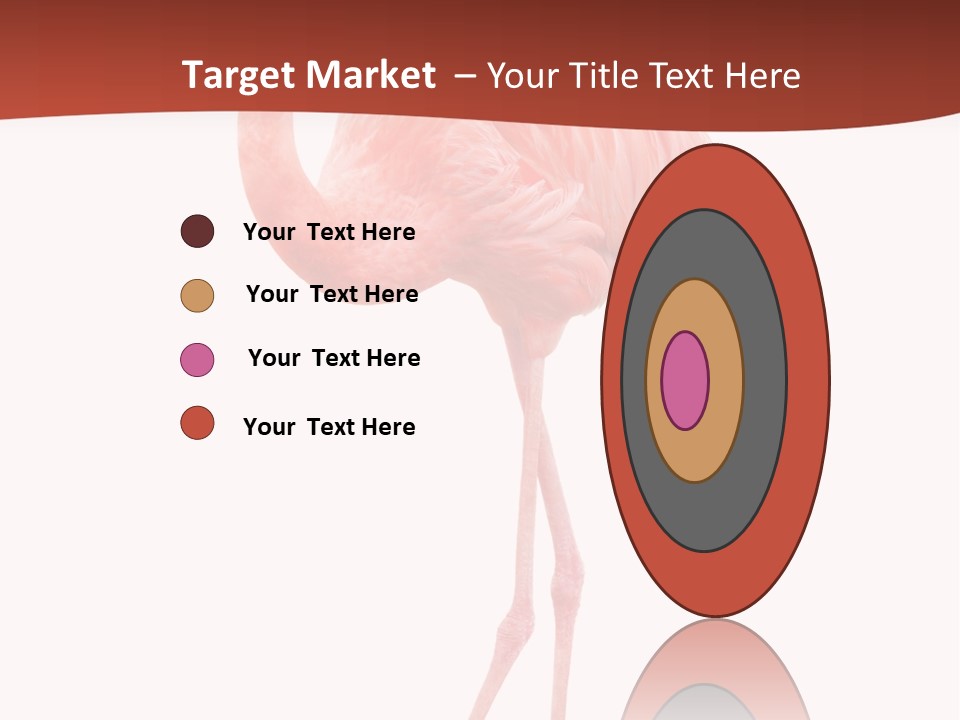 Animal Flamingo Subtropics PowerPoint Template