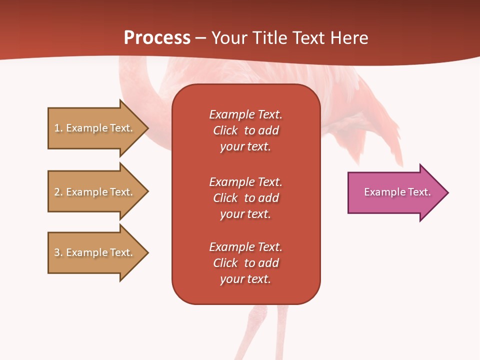 Animal Flamingo Subtropics PowerPoint Template