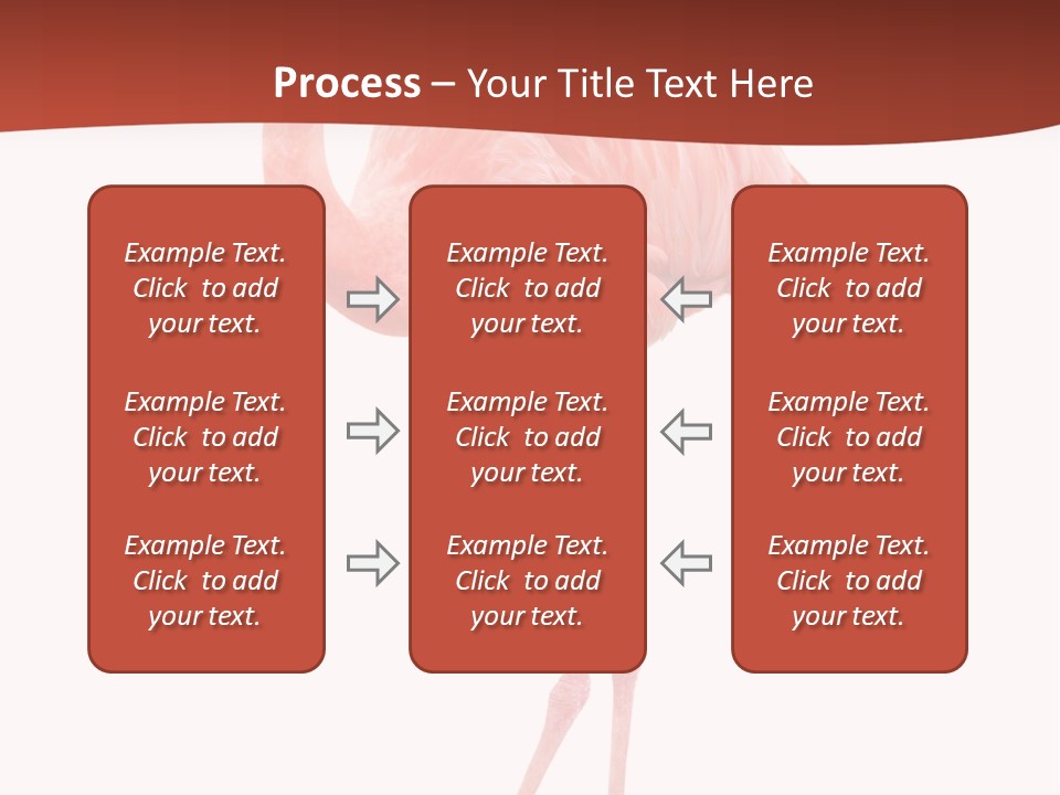 Animal Flamingo Subtropics PowerPoint Template