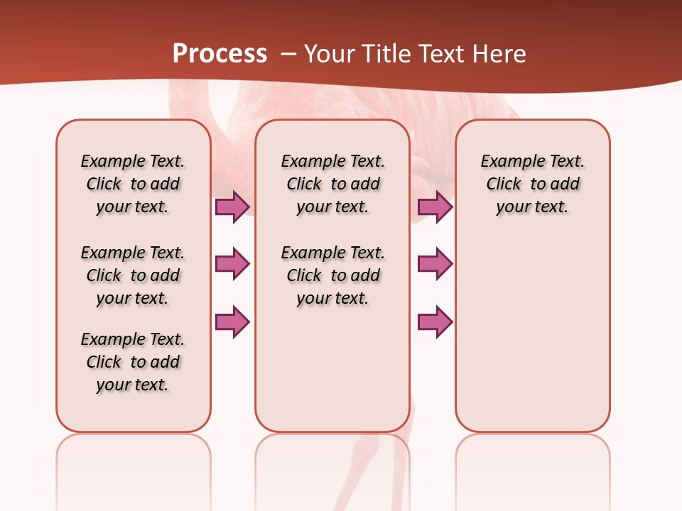 Animal Flamingo Subtropics PowerPoint Template