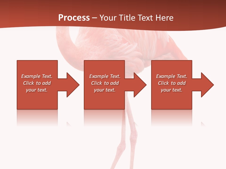 Animal Flamingo Subtropics PowerPoint Template