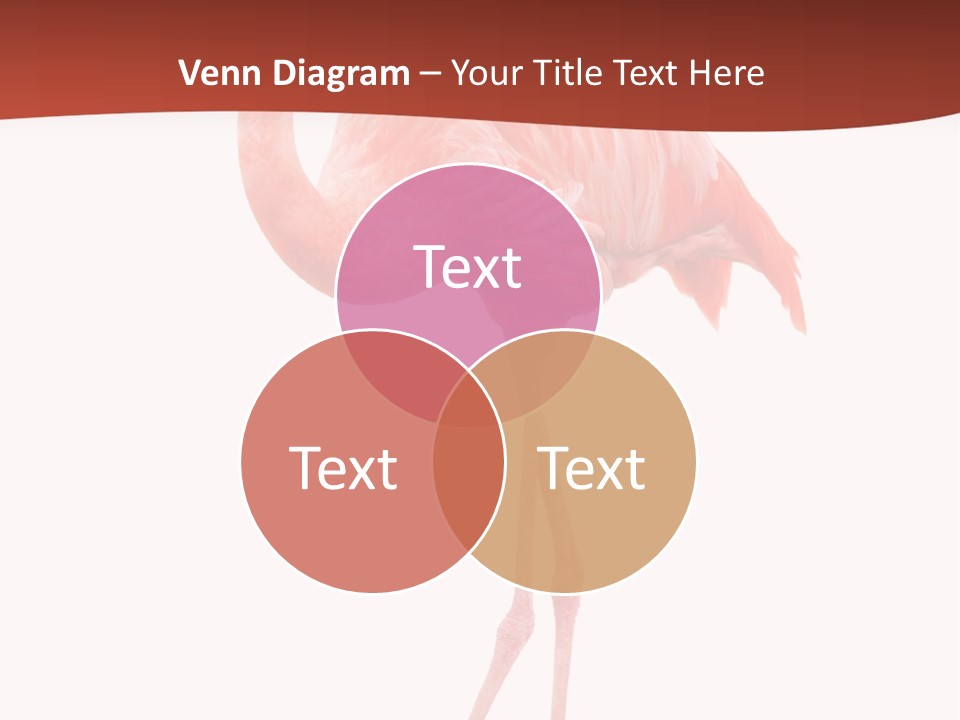 Animal Flamingo Subtropics PowerPoint Template