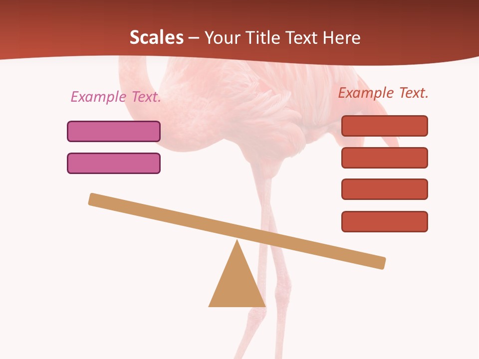 Animal Flamingo Subtropics PowerPoint Template
