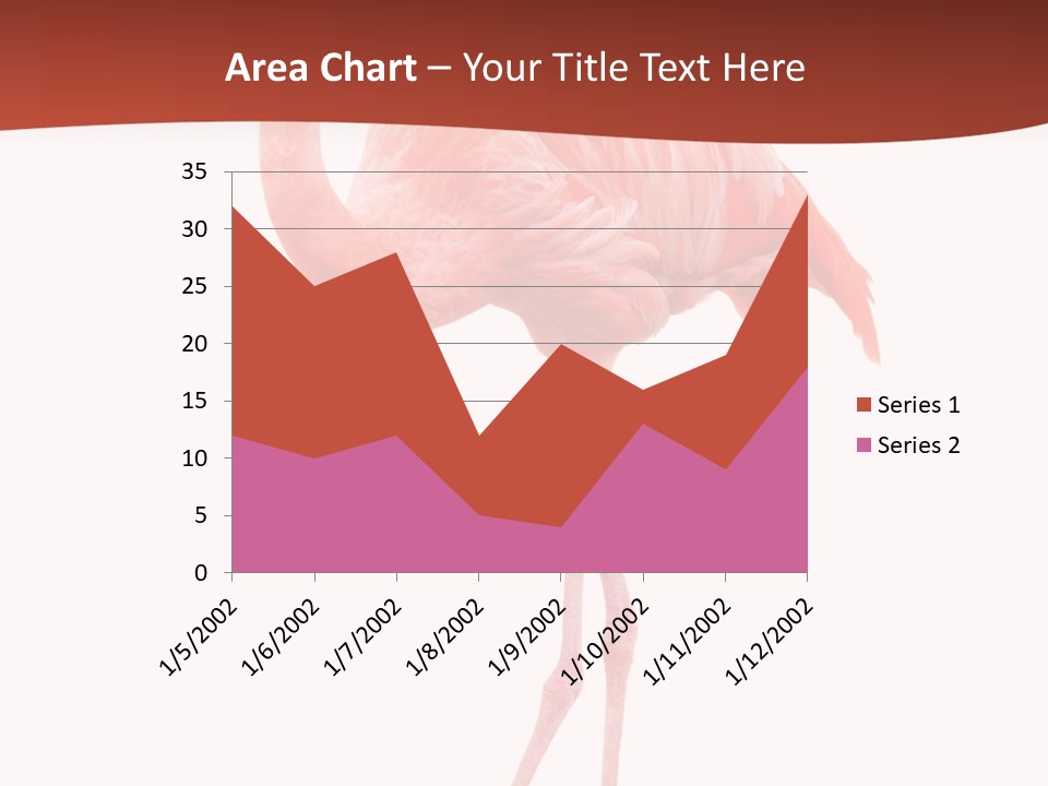 Animal Flamingo Subtropics PowerPoint Template