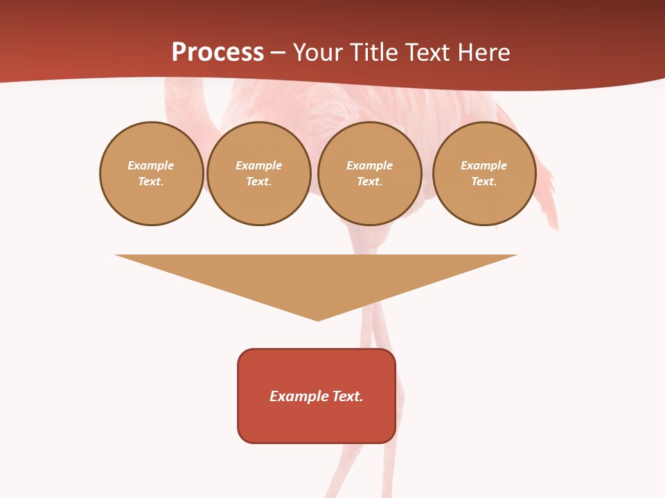Animal Flamingo Subtropics PowerPoint Template