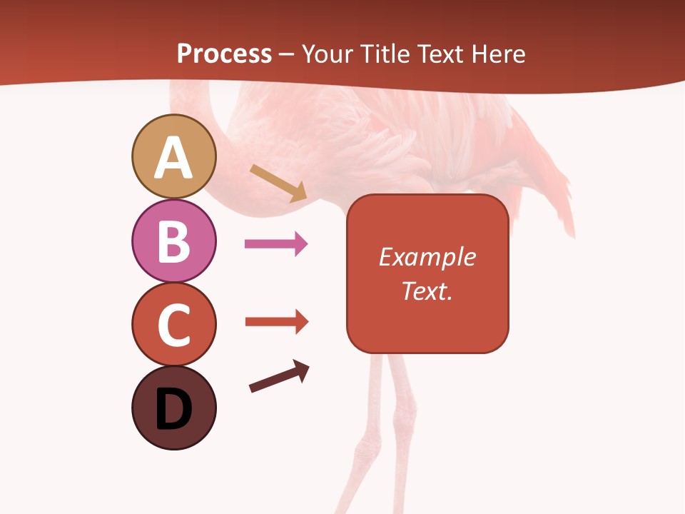 Animal Flamingo Subtropics PowerPoint Template