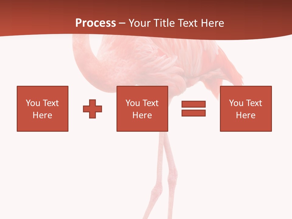Animal Flamingo Subtropics PowerPoint Template