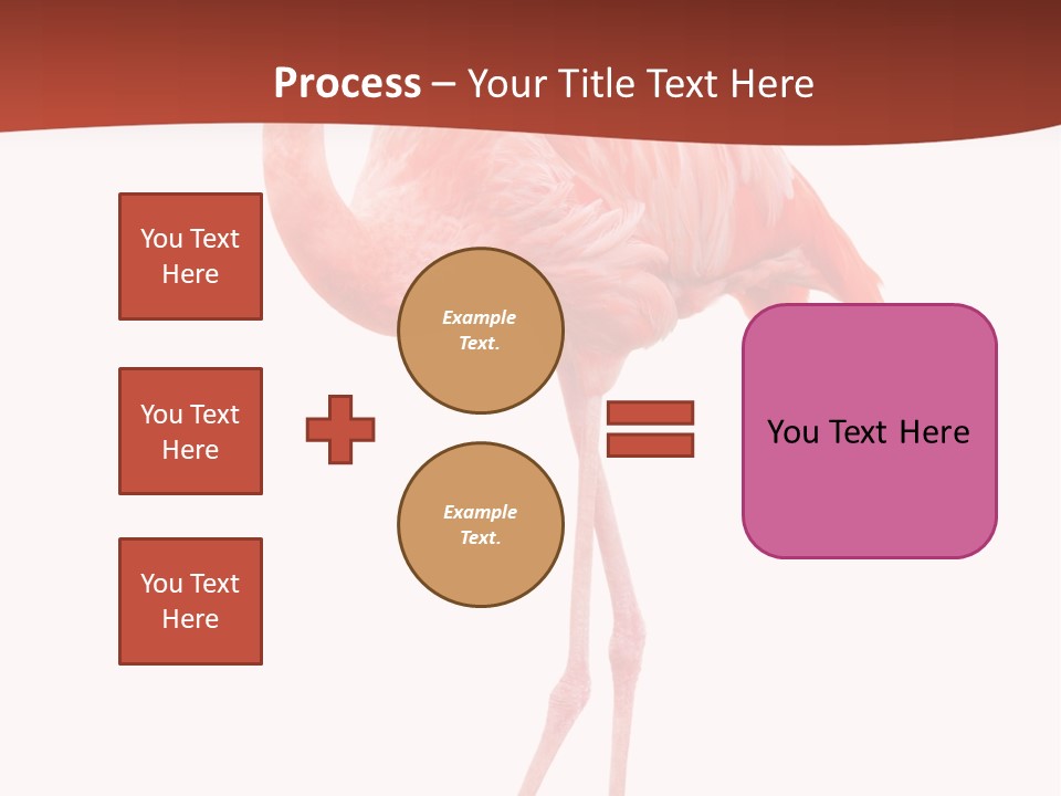 Animal Flamingo Subtropics PowerPoint Template