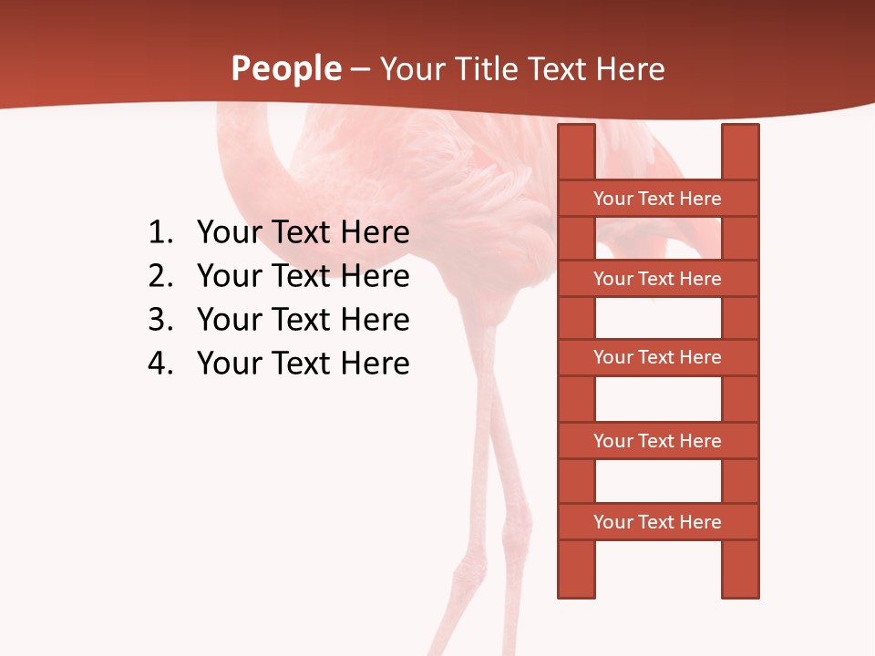 Animal Flamingo Subtropics PowerPoint Template