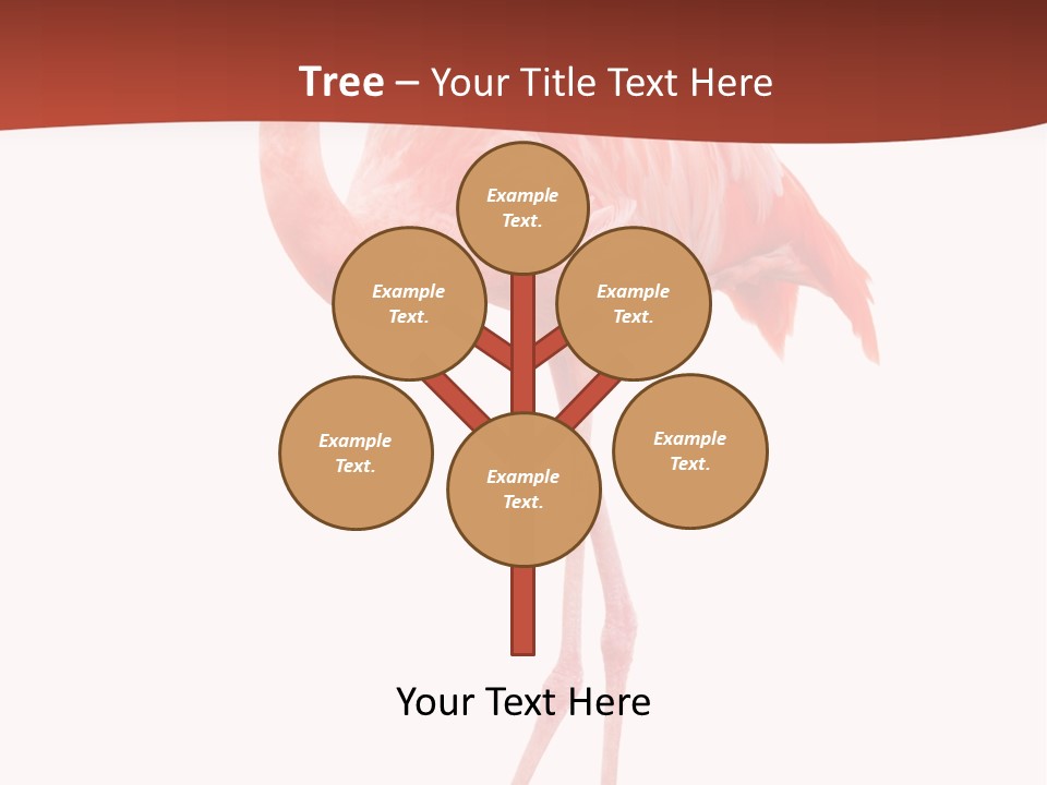 Animal Flamingo Subtropics PowerPoint Template