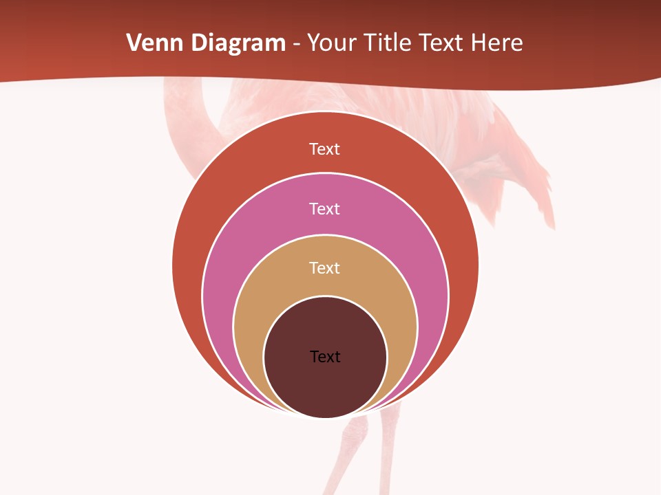 Animal Flamingo Subtropics PowerPoint Template